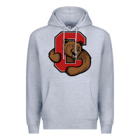 Heather Grey The cornell big red Premium Hoodie - linhVisuals