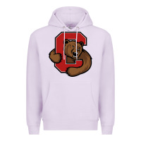 Lilac The cornell big red Premium Hoodie - linhVisuals