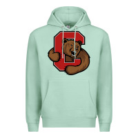 Seafoam The cornell big red Premium Hoodie - linhVisuals