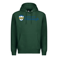 Sports Green University of Pittsburgh Premium Hoodie - linhVisuals