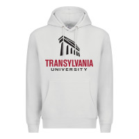 Dove Grey transylvania university Premium Hoodie - linhVisuals