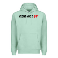 Seafoam wentworth institute of technology Premium Hoodie - linhVisuals