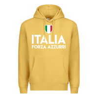Antique Gold italia soccer jersey Premium Hoodie - linhVisuals