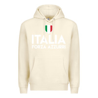 Sandshell italia soccer jersey Premium Hoodie - linhVisuals