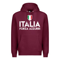 Burgundy italia soccer jersey Premium Hoodie - linhVisuals