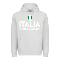 Dove Grey italia soccer jersey Premium Hoodie - linhVisuals