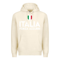 Tofu italia soccer jersey Premium Hoodie - linhVisuals