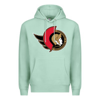 Seafoam the senators Premium Hoodie - linhVisuals