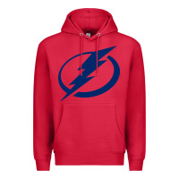 Cardinal the lightning Premium Hoodie - linhVisuals