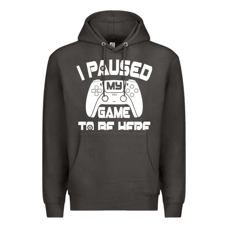 I Paused My Game To Be Here Premium Hoodie by linhVisuals | Teevron