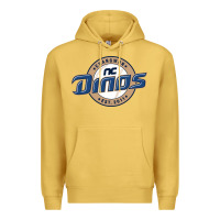Antique Gold nc Premium Hoodie - linhVisuals