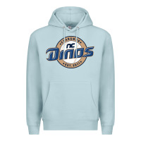 Blue Mist nc Premium Hoodie - linhVisuals
