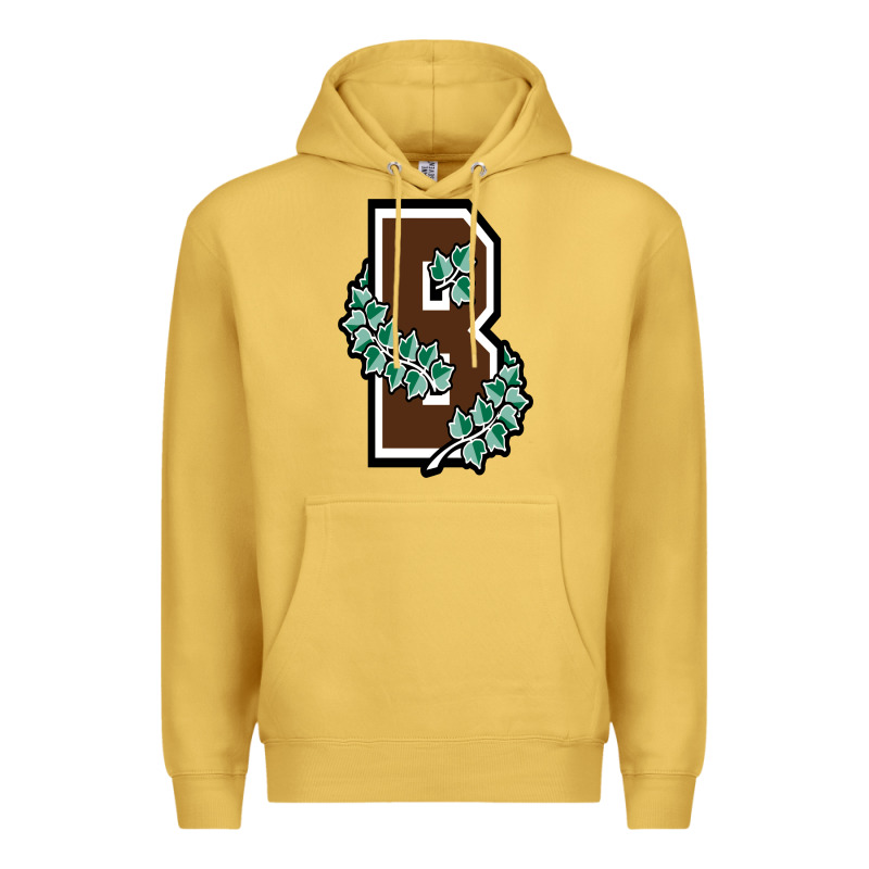 Brown University Premium Hoodie by linhVisuals | Teevron