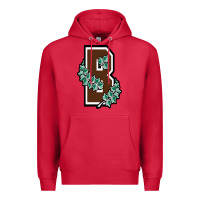 Cardinal brown university Premium Hoodie - linhVisuals