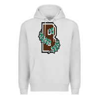 Dove Grey brown university Premium Hoodie - linhVisuals