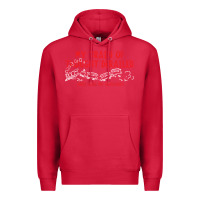 Cardinal my train of thought derailed Premium Hoodie - linhVisuals
