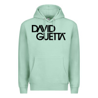 Seafoam cool-david-guetta-one-love-merch Premium Hoodie - linhVisuals