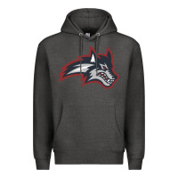 Charcoal Heather stony brook seawolves Premium Hoodie - linhVisuals
