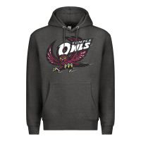 Charcoal Heather temple owls Premium Hoodie - linhVisuals