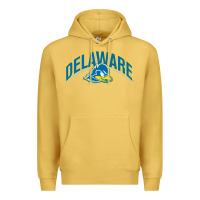 Antique Gold delaware sportss Premium Hoodie - linhVisuals