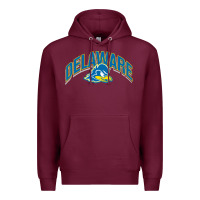 Burgundy delaware sportss Premium Hoodie - linhVisuals