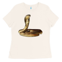 King Cobra Snake Ladies Tee | Teevron