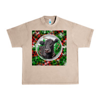 French Oak christmas black angus cow Urban Heavy Tee - LillyAllenDesigns
