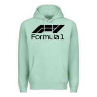 Seafoam formula 1 Premium Hoodie - linhVisuals