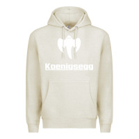 Oatmeal Heather ghost koenisegg Premium Hoodie - linhVisuals