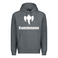 Rock ghost koenisegg Premium Hoodie - linhVisuals