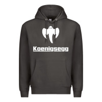 Smoke ghost koenisegg Premium Hoodie - linhVisuals
