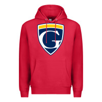 Cardinal graceland university yellowjackets vectorized Premium Hoodie - linhVisuals