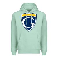 Seafoam graceland university yellowjackets vectorized Premium Hoodie - linhVisuals