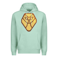 Seafoam The Owl House Premium Hoodie - linhVisuals