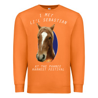 Carrot I met lil Sebastian Premium Sweatshirt - Bettercallsaul