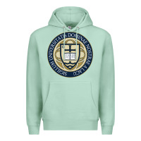 Seafoam university dame Premium Hoodie - linhVisuals