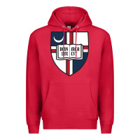 Cardinal university catholic Premium Hoodie - linhVisuals