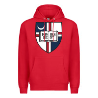 Red university catholic Premium Hoodie - linhVisuals
