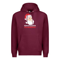 Burgundy santa claus is cumming dirty humor Premium Hoodie - linhVisuals