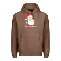 Chestnut santa claus is cumming dirty humor Premium Hoodie - linhVisuals