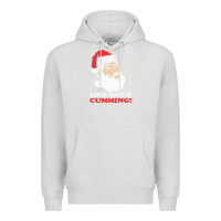 Dove Grey santa claus is cumming dirty humor Premium Hoodie - linhVisuals