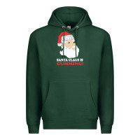 Sports Green santa claus is cumming dirty humor Premium Hoodie - linhVisuals