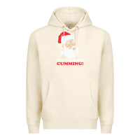 Tofu santa claus is cumming dirty humor Premium Hoodie - linhVisuals