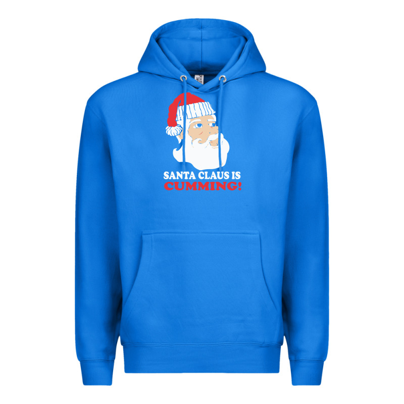 Santa Claus Is Cumming Dirty Humor Premium Hoodie by linhVisuals | Teevron