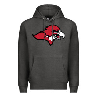 Charcoal Heather benedictine, mesa, college Premium Hoodie - linhVisuals