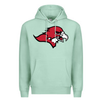 Seafoam benedictine, mesa, college Premium Hoodie - linhVisuals