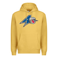 Antique Gold unc asheville bulldogs Premium Hoodie - linhVisuals