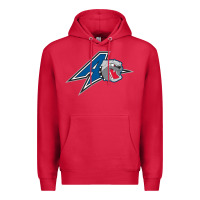 Cardinal unc asheville bulldogs Premium Hoodie - linhVisuals
