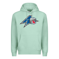Seafoam unc asheville bulldogs Premium Hoodie - linhVisuals