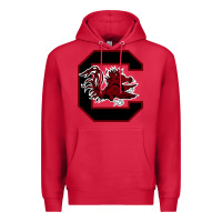 Cardinal the gamecocks athletics Premium Hoodie - linhVisuals